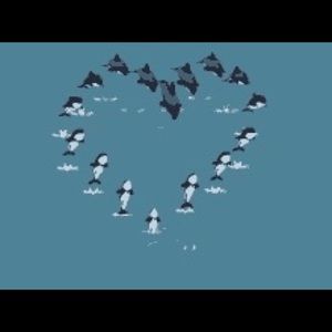 Meet your Posher, Jess